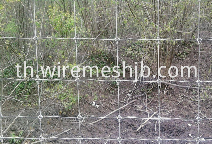 Galvanized Field Wire Fence